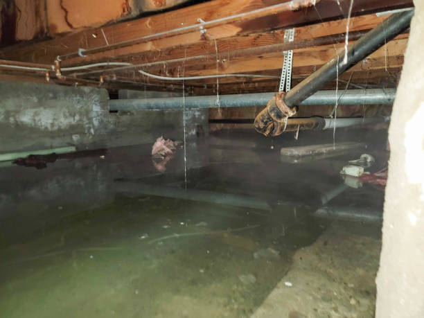 Water damage restoration experts in OK