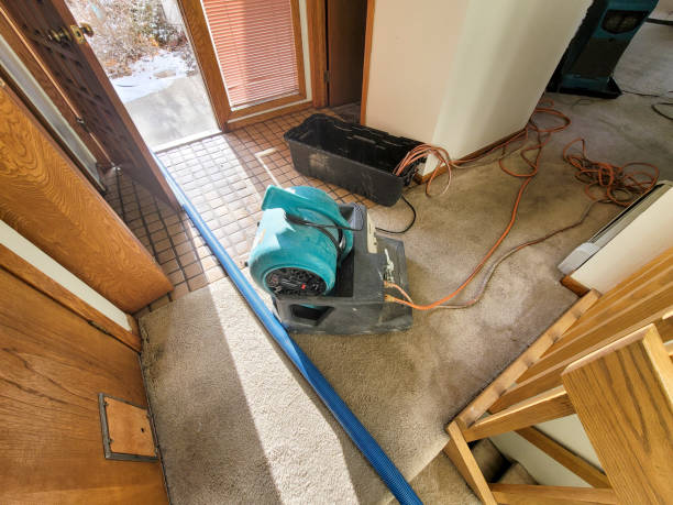Best 24-hour water damage restoration  in Yale, OK