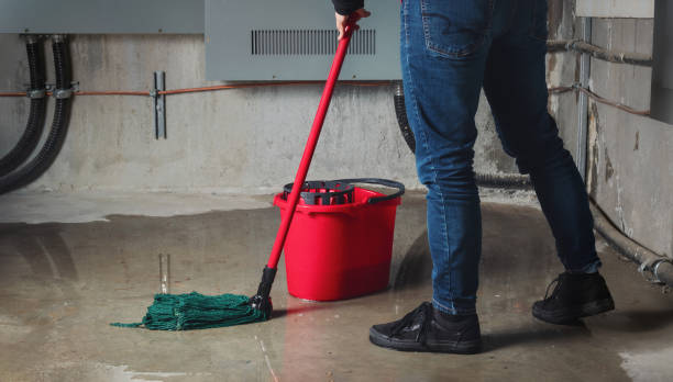 Best Basement water damage restoration  in Yale, OK