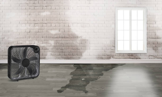 Best Flood restoration services  in Yale, OK