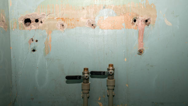 Best Emergency water extraction  in Yale, OK
