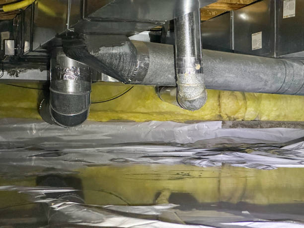 Best Carpet water damage restoration  in Yale, OK