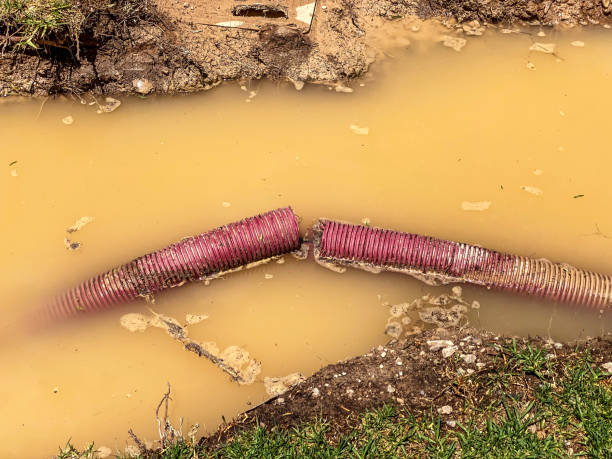 Best Flood damage cleanup  in Yale, OK